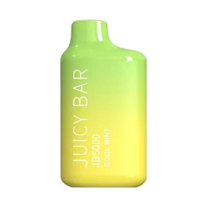 Cool Mint - Juicy Bar JB5000 3% Vape